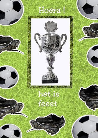 Cardsize preview