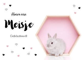 Cardsize preview