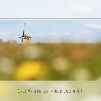 Cardsize preview