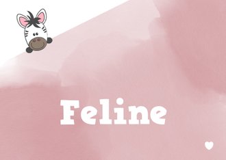 Cardsize preview