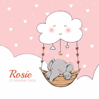 Cardsize preview