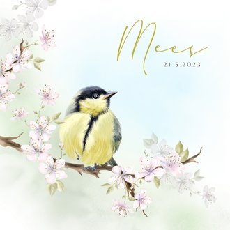 Card thumbnail