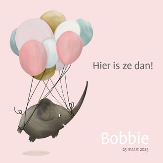 Cardsize preview