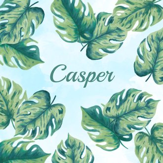 Cardsize preview