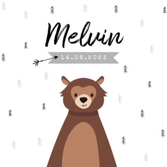 Cardsize preview
