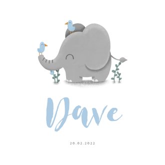 Cardsize preview
