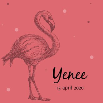 Cardsize preview