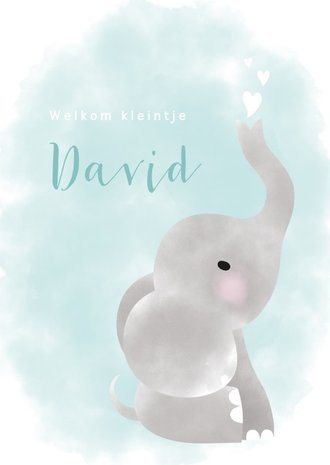 Cardsize preview