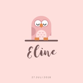 Cardsize preview