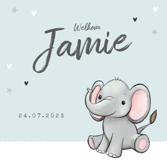 Cardsize preview
