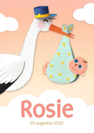 Cardsize preview