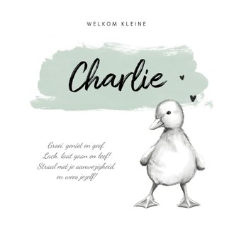 Cardsize preview