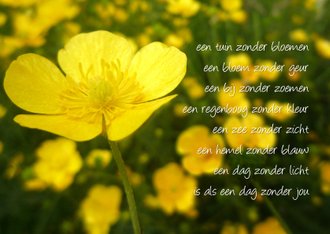 Gedicht boterbloem- dag zonder jou | Kaartje2go