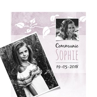 Cardsize preview