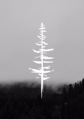 Cardsize preview