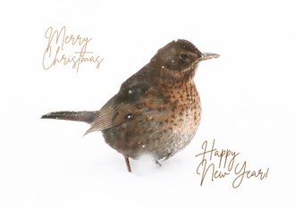 Card thumbnail