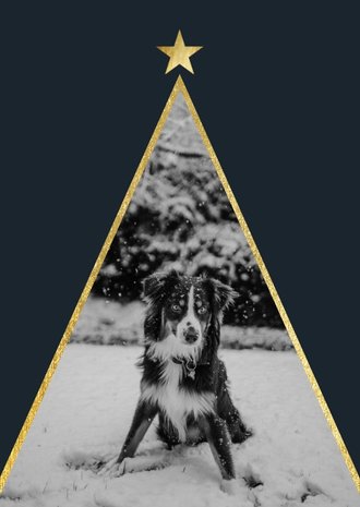 Cardsize preview