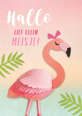Cardsize preview
