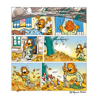 Cardsize preview