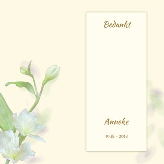 Cardsize preview