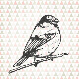 Cardsize preview