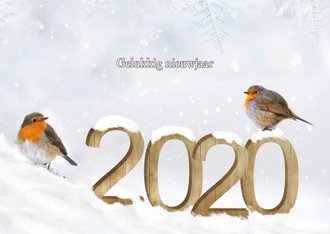 Cardsize preview
