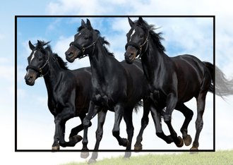 Cardsize preview