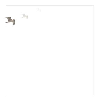 Card thumbnail