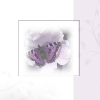 Cardsize preview