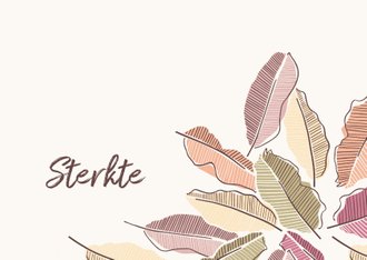 Cardsize preview