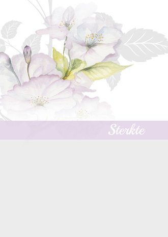 Cardsize preview