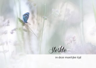 Cardsize preview