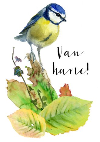 Card thumbnail