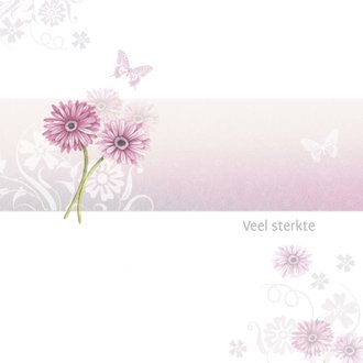 Cardsize preview