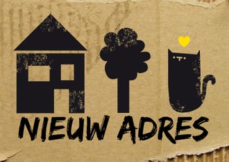Cardsize preview