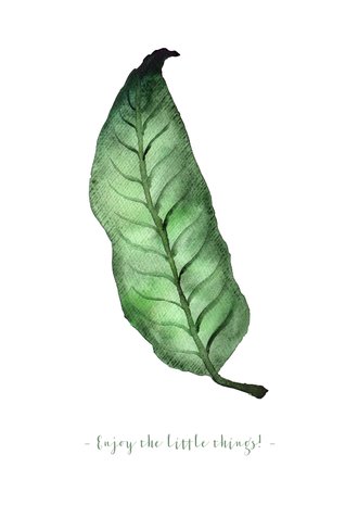 Cardsize preview