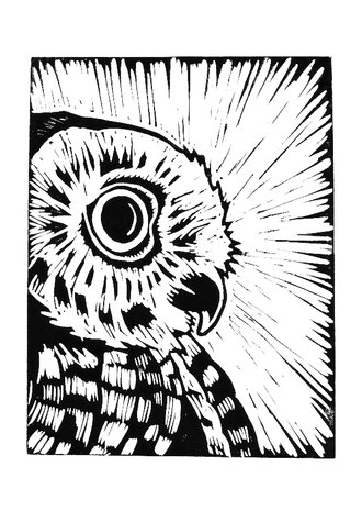 Cardsize preview