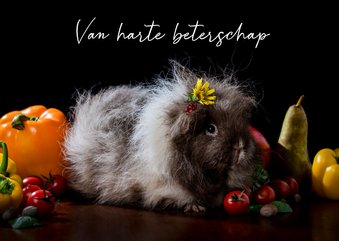 Beterschap kaart met cavia groente en fruit