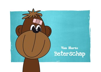 Beterschap lief aapje met pleister
