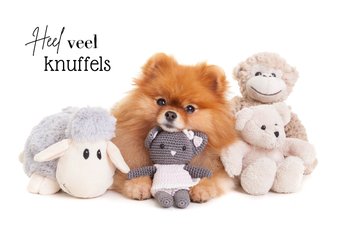 Beterschapskaart - Heel veel knuffels - hond met knuffels