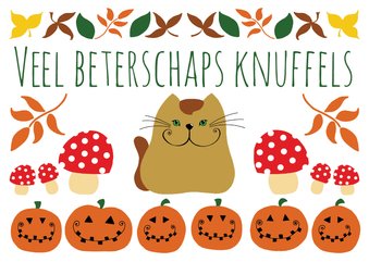 Beterschapskaart - Kat herfst