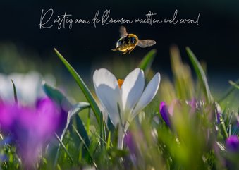 Beterschapskaart met bloemen en een vliegende hommel