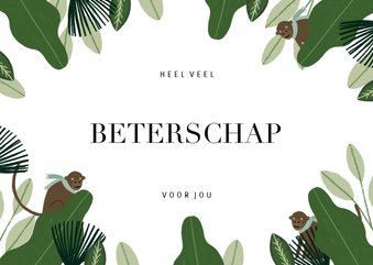 Beterschapskaart met jungle bladeren en aapjes