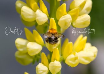 Beterschapskaart met vrolijke gele bloemen en een bij