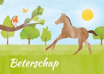 Beterschapskaart veulen en vogel