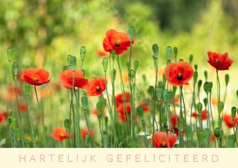 Bloemenweide met klaprozen