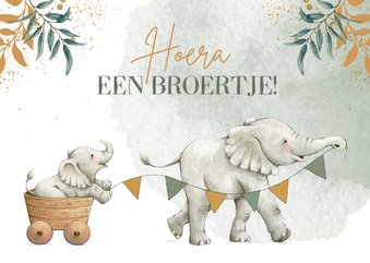 Botanische felicitatiekaart geboorte broertje met olifantjes