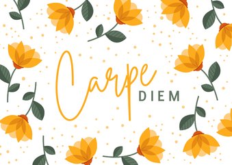 Carpe diem wenskaart