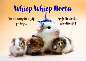 Cavia felicitatie kaart. 