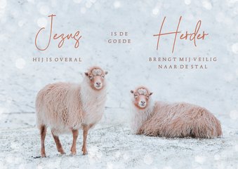 Christelijke kerstkaart met schapen en een songtekst